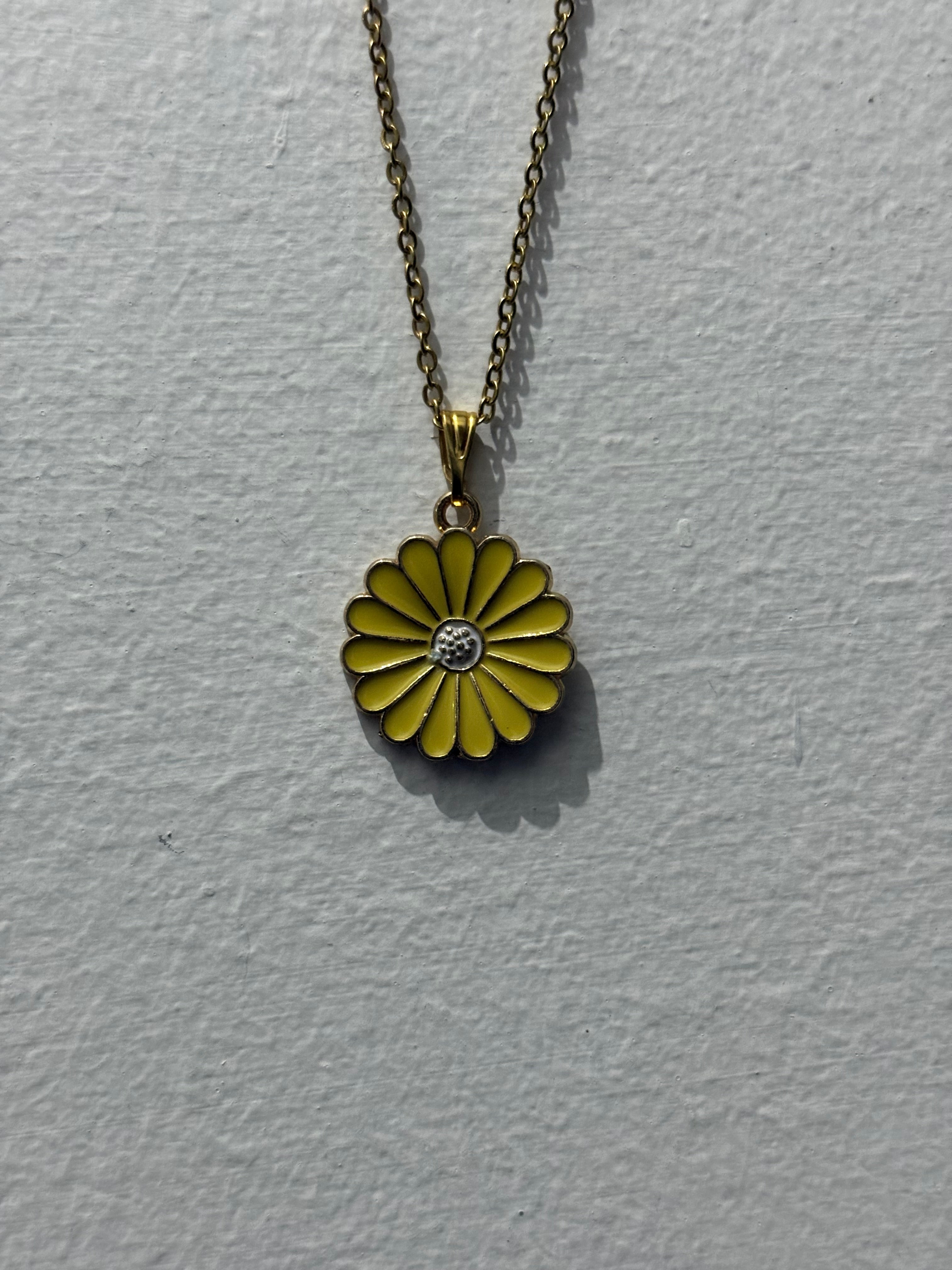 Yellow Daisy