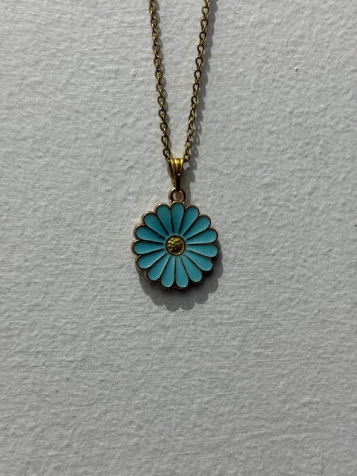 Blue Daisy